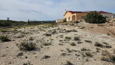 House in Agua Amarga-Urbanova photo 55
