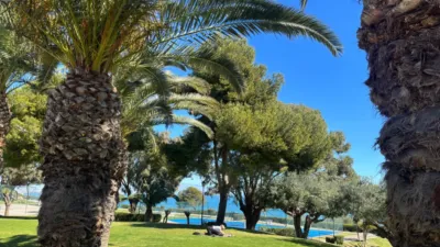 Apartment in Gran Alacant photo 14