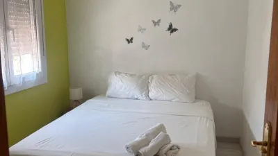 Casa – Elche/Elx, Casablanca, el Baix Vinalopó - Més
