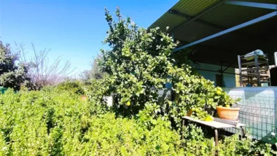 Rustic chalet on Campo Street photo 15