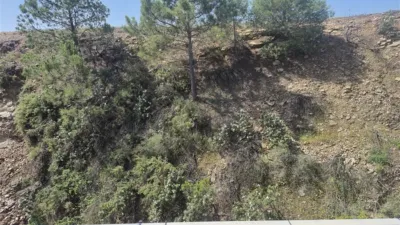House on Camino de los Pedregales Street, No. 67 photo 7