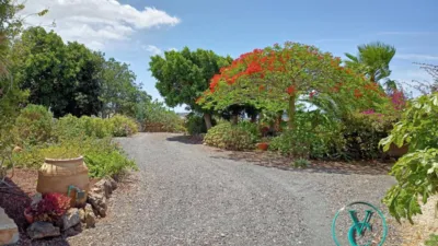 Casa en venta en Calle Elvira, Buzanada-Valle de San Lorenzo-Cabo Blanco (Arona) de 1.100.000 €