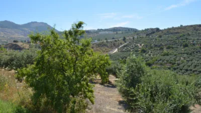 Rustic farm on Calle de la Iglesia, 1 photo 10