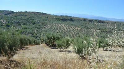 Rustic farm on Calle de la Iglesia, 1 photo 13
