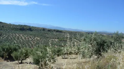 Rustic farm on Calle de la Iglesia, 1 photo 14