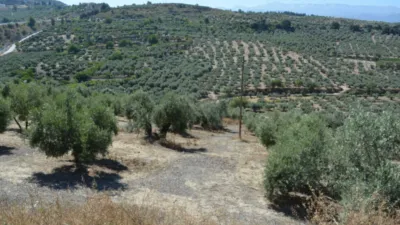 Rustic farm on Calle de la Iglesia, 1 photo 15