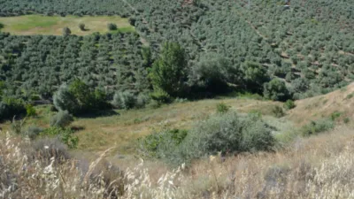 Rustic farm on Calle de la Iglesia, 1 photo 20