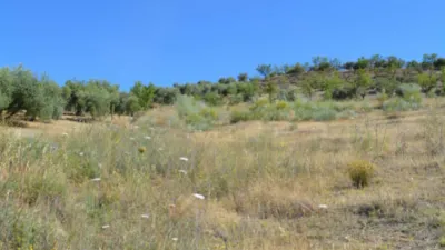 Rustic farm on Calle de la Iglesia, 1 photo 23