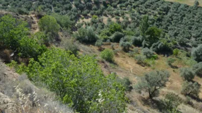 Rustic farm on Calle de la Iglesia, 1 photo 24