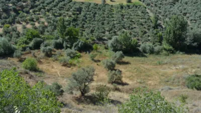 Rustic farm on Calle de la Iglesia, 1 photo 25