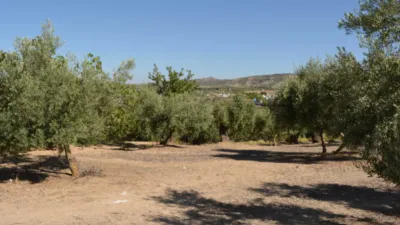 Rustic farm on Calle de la Iglesia, 1 photo 3
