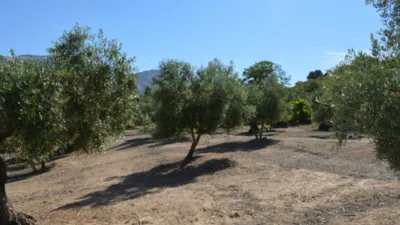 Rustic farm on Calle de la Iglesia, 1 photo 4