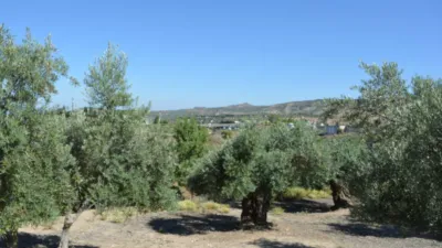 Rustic farm on Calle de la Iglesia, 1 photo 5