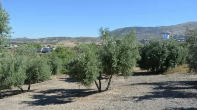 Rustic farm on Calle de la Iglesia, 1 photo 6