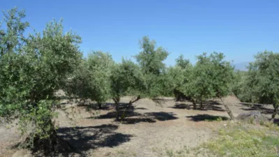 Rustic farm on Calle de la Iglesia, 1 photo 8