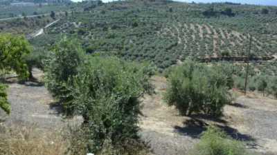 Rustic farm on Calle de la Iglesia, 1 photo 9