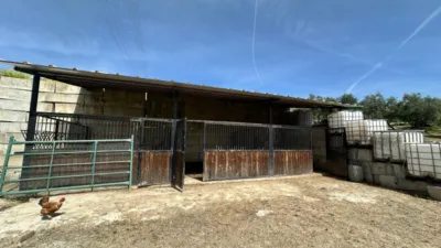 Rustic farm on Calle de la Iglesia, 1 photo 5