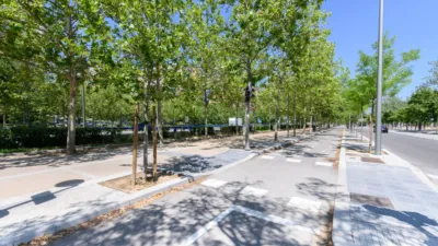 Piso en alquiler en Plaza de Villafranca de los Barros - Imagen 22