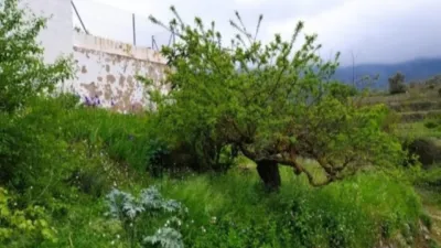 House on Avenida de Alcoi, 1 photo 11