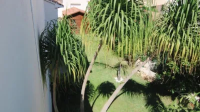 Chalet unifamiliar en Urbanización Carrio Park0 photo 11
