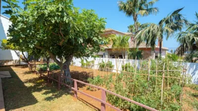 Chalet on Calle El Montgo Paidos photo 12