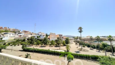 Semi-detached house on Avenida Los Mangos, 28 photo 6