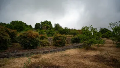 House on Camino Las Habanenas photo 38
