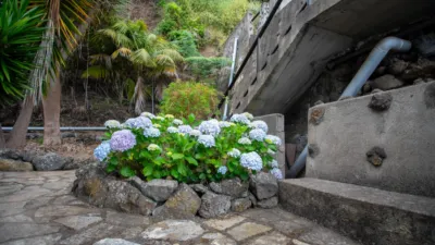 House on Camino Las Habanenas photo 39