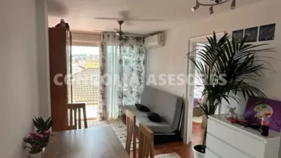 Apartment in Calella photo 17