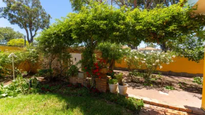House on Avenida Tabares Bartlet photo 40