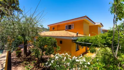 House on Avenida Tabares Bartlet photo 41