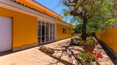 House on Avenida Tabares Bartlet photo 4