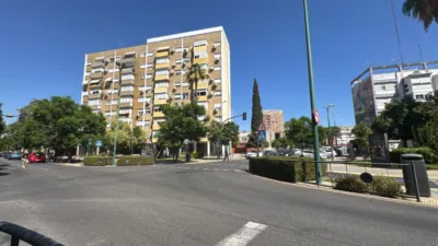 Flat on Calle Farruca photo 15