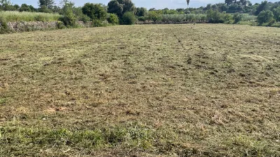 Rustic farm in L'Alcora photo 4