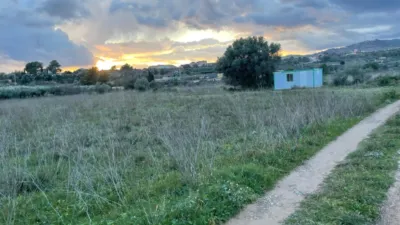 Rustic farm in L'Alcora photo 3