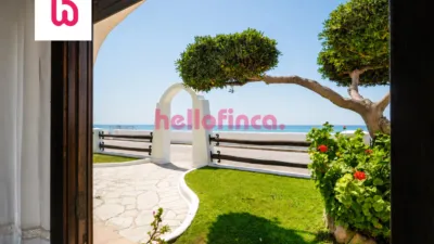 Ground-floor apartment on Carrer de la Moixarra photo 2