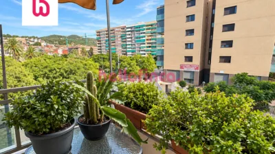 Apartment on Carrer de Joan Maragall photo 10