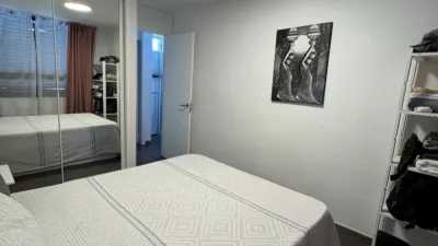 Apartment on Calle Alemania photo 56