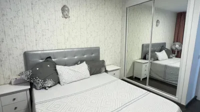 Apartment on Calle Alemania photo 55
