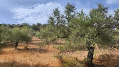 Terreno en venta en Casabermeja, Casabermeja de 1.000.000 €