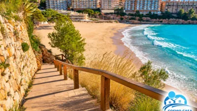 Apartment in Platja dels Capellans - Tourist Area photo 31