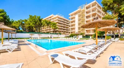 Apartment in Platja dels Capellans-Tourist Zone photo 13