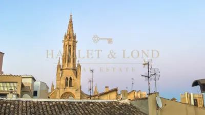Flat in La Seu photo 3