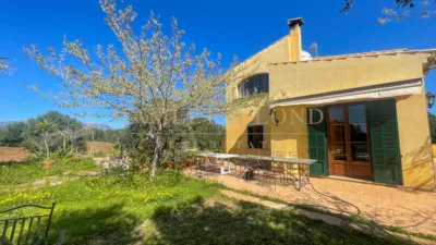 Rustic house in Búger photo 35