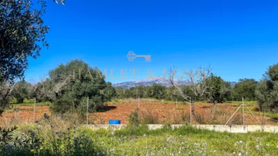 Rustic house in Búger photo 37