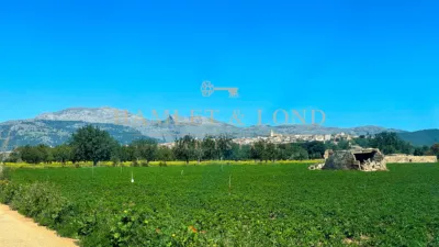 Rustic house in Búger photo 58