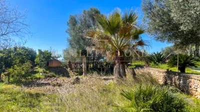 Rustic house in Búger photo 46
