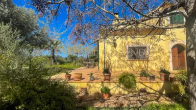 Rustic house in Búger photo 48