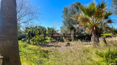 Rustic house in Búger photo 45