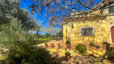 Rustic house in Búger photo 47
